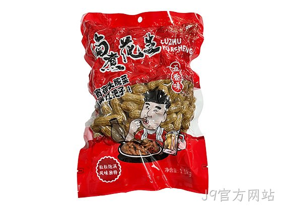 浙J9官方网站卤煮花生五香味1.1kg